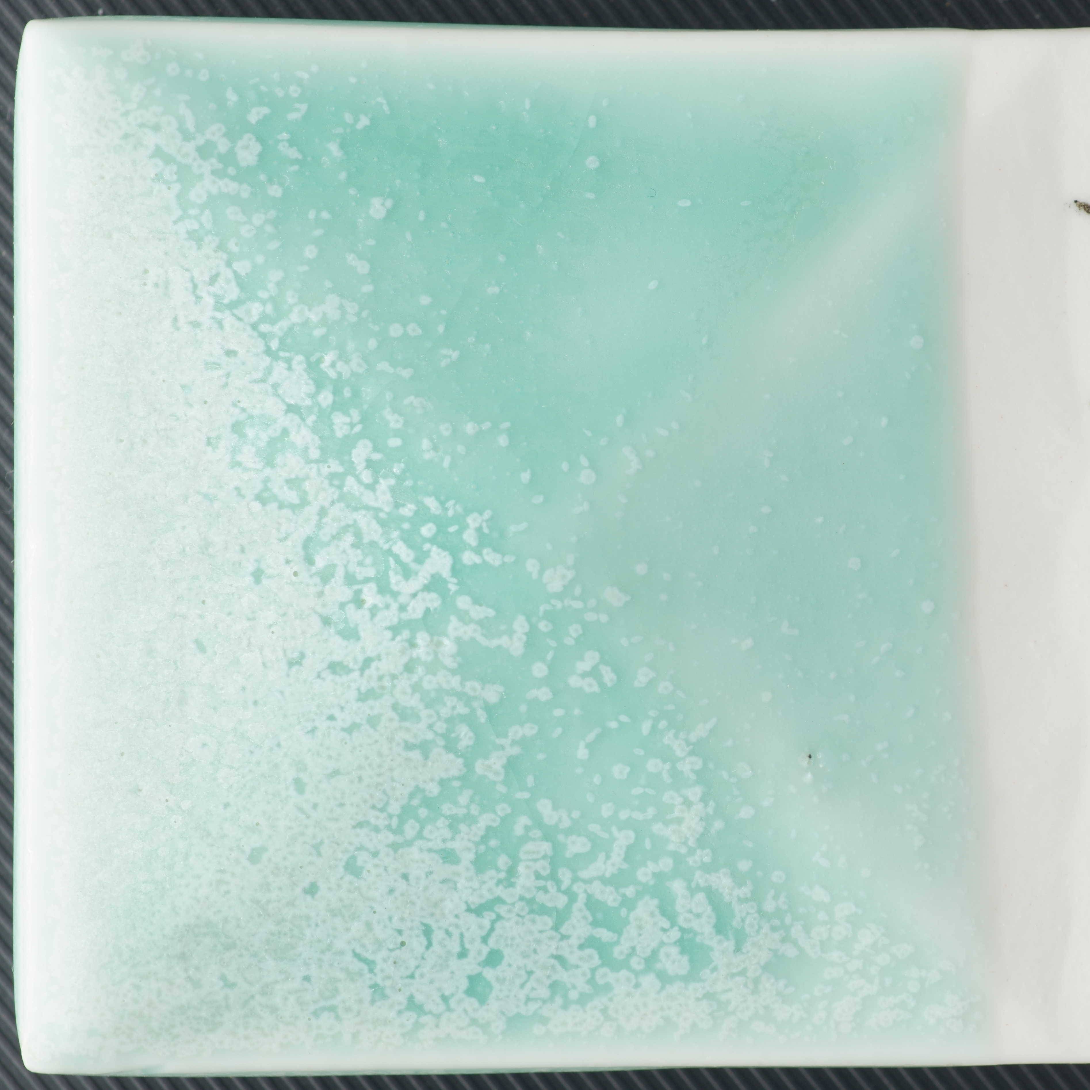 沁雪